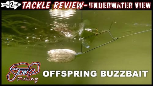 Jenko Offspring Buzzbait | Underwater View