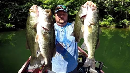 Topwater Over a 30ft Ledge