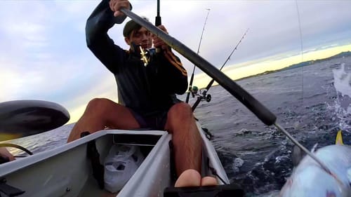 Yellowfin & Whales, Season Crossover - Kayak fishing Gold Coast, Australia