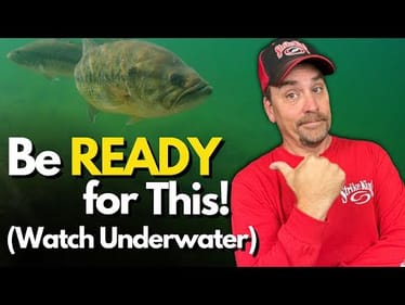 The #1 Cold Water Bass Behavior Anglers Can't Ignore (Watch Underwater)