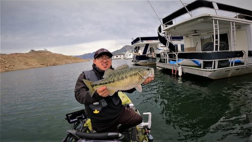 Flipping Big Spoons for Deep Winter Bass-Pine Flat Lake