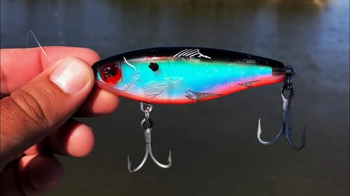 This Little Lure Catches My New PB!