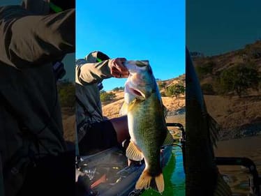 THIS IS WHY YOU THROW A BIG WORM #fishing #bassfishing #bigworm