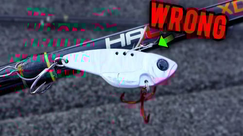 The SECRET Weapon for PRESPAWN Cold Water GIANTS