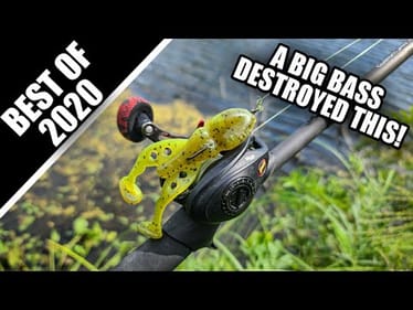 Top 6 Catches of 2020 (Surprise Final Catch!)
