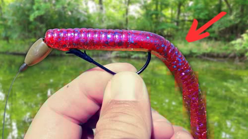 YOU Can't Beat These 5 AUGUST Lures