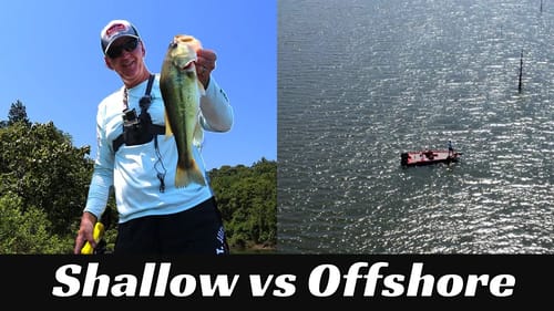 Common Fall Fishing Confusions Explained! | Bass Fishing In The Fall Basics