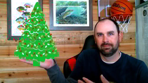 Merry Christmas / Florida short video