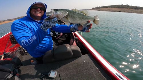 Fall Topwater Fishing on Lake Don Pedro