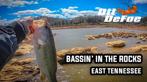 Bassin' In The Rocks