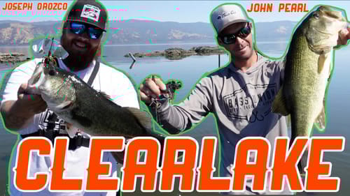 Clearlake Summer Double Buzzbait Fishing for Big Bass ft. John Pearl | Historic Low Water Levels