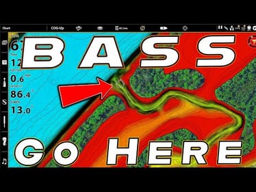 Where Do Bass Go In Fall??? (And The Best Baits To Catch Them)