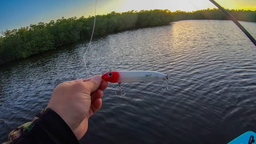 Secret Saltwater Pond Full of Giant Fish (Micro Skiff Fishing)