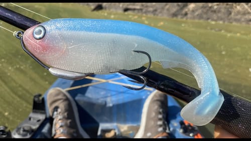 BIG Soft Plastic SwimBait | Pour to Catch