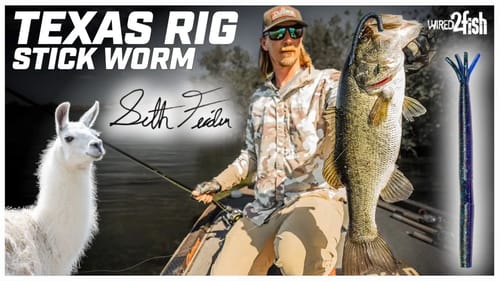 Texas Rig Stick Baits for Spring Bass with Seth Feider