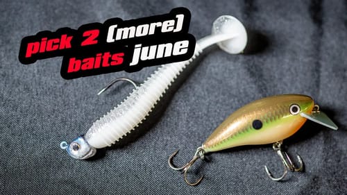 Pick 2 (More) Baits | June