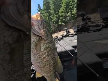 NEW PB 8+ Pound Smallmouth Bass