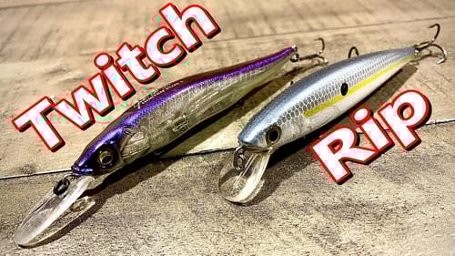 DIFFERENT Jerkbait Bodies for DIFFERENT Water Temps