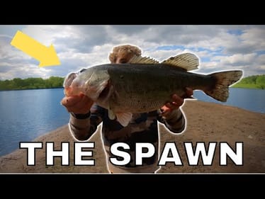 FISHING FOR GIANT PRE-SPAWN BASS! (Insane Bed Fishing)