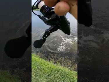 Fishing a Florida Golf Course in the Rain #fishing