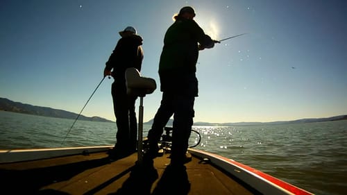 Rod and Reel: Maintenance, Tuning, and Cleaning