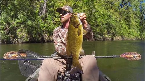 Bitsy Bug Jig Big Smallie