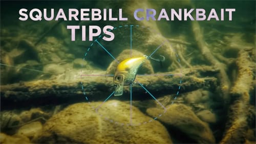 How and When to Target Bass With "Hunting" Squarebill Crankbaits