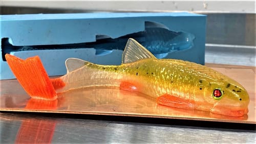 Making a Bottom Feeder Sucker Open Belly Pour SwimBait