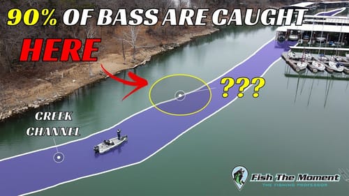 90% of Bass Live In THIS 10% of Your Lake | #Catch15