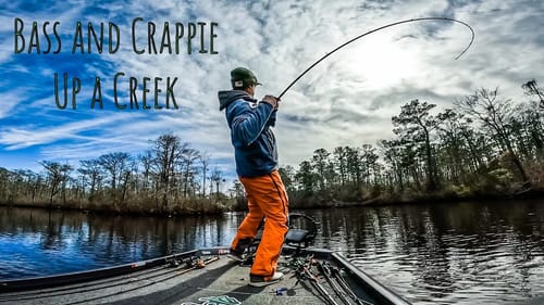 NASTY Swamp Creek Has BIG CRAPPIE and BASS!!