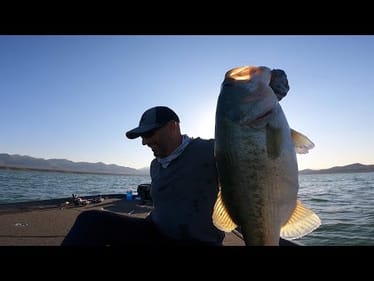 Tons Of GIANT Bass Right Under The Boat!!
