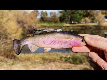 I Caught The POND MONSTER!!! (Fishing with GIANT LURES!)