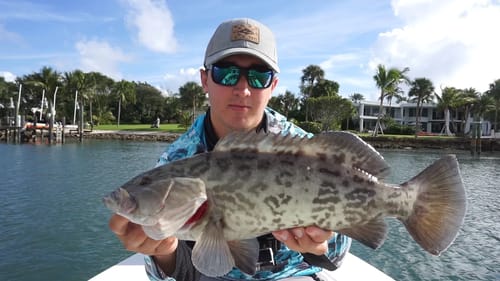 Inshore Grouper and Mutton Snapper Fishing