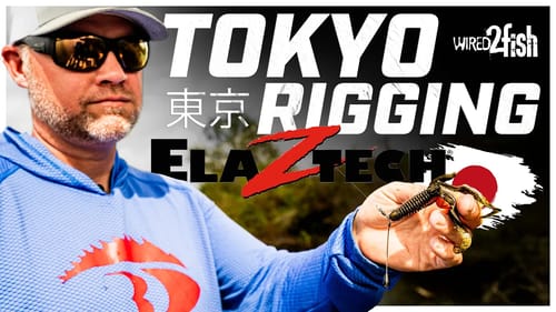 Tokyo Rig Secrets for Spawning Bass Success