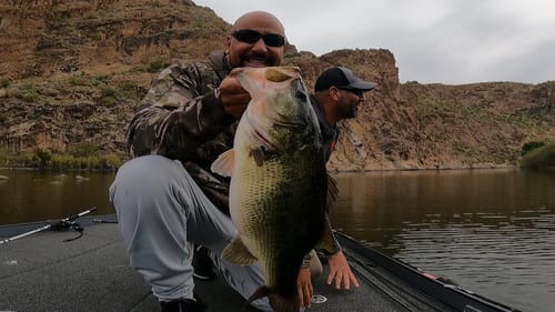 MONSTER BASS Action in Full Swing!