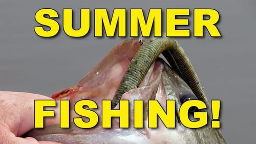 Summer Senko Fishing for Monster Bass | Bass Fishing