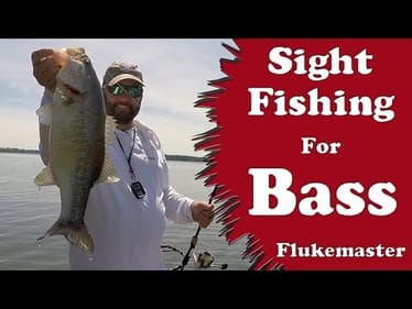 Bass Fishing - Sight Fishing for Bass