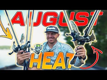 TOP BAITS of the MONTH ( August 2025 Edition 4K )