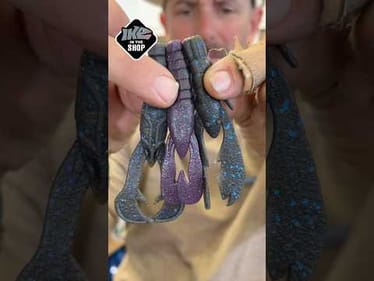 🦞 Craw Trailer Myth BUSTED! Choose the RIGHT Craw for More Bass! 🎣