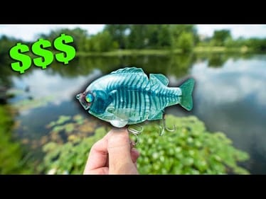 Testing a RIDICULOUS $120 LURE Off eBay -- (Pond Hopping With Uber Expensive Lures)