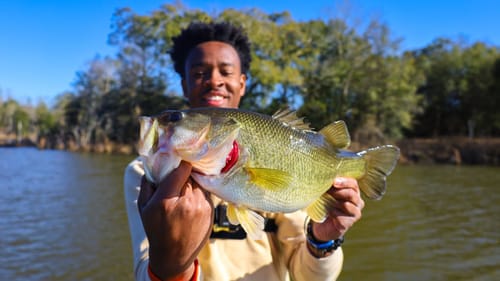 WINTER Pond Fishing For Cold Water Bass (LURE TIPS)