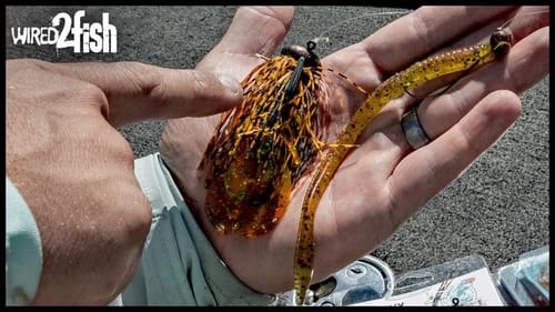 Football and Shaky Head Jig Strategies for Summer Bass