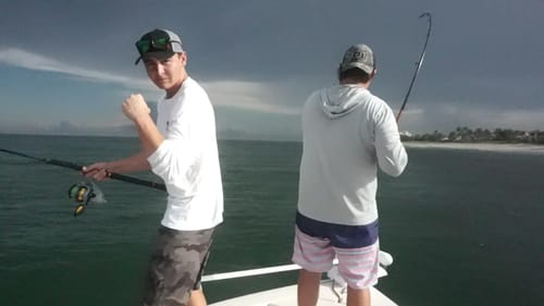 We Can't Escape the Sharks