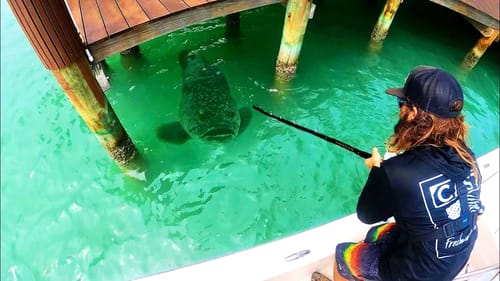 BATTLING the DOCK MONSTER!! (INSANE)
