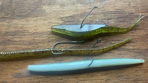 The Best Way To Catch Visible Cruising Bass