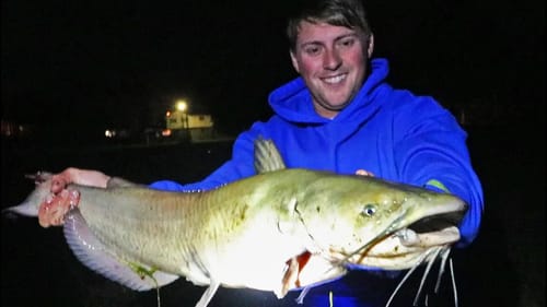 Fishing for CATFISH With a CAROLINA RIG! Tips and Rigging Setup