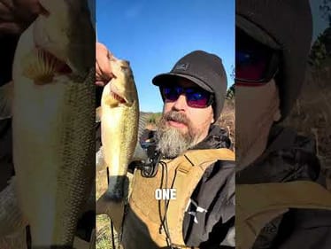 ON. THE. BOARD. 🔥