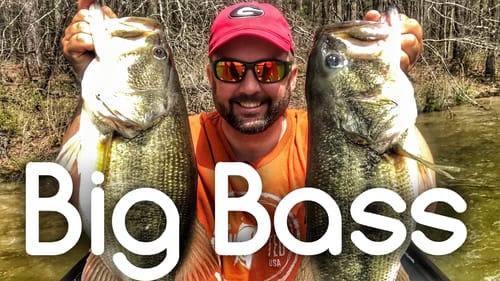 Two Giant Bass Fishing a Jackhammer Chatterbait