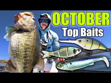 You'd be a FOOL to Fish WITHOUT these Baits in October! (Top 5 October Bass Fishing Baits)