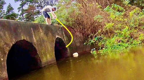 What LIVES in the DARK URBAN TUNNEL?! (SURPRISING)